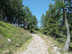 Military road of Legnoncino (1570 m) | From Sueglio to Mount Legnoncino