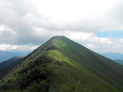 Northwest ridge (1590 m) - Monte St.Primo | Hiking a loop from Veleso to Monte San Primo