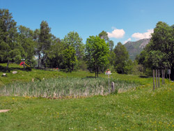 Sentiero del Viandante - 2nd Stage High | Stagno del Pozzal (955 m.) - Esino Lario