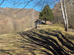 Sentiero del Viandante - 2nd Stage Low | Coira (780 m.)