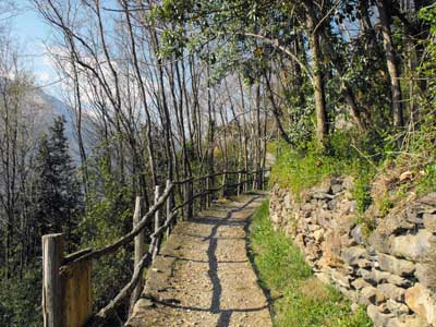 Wayfarer’s Trail - Stage 3