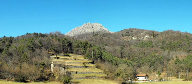 From Menaggio to Rogolone oak tree